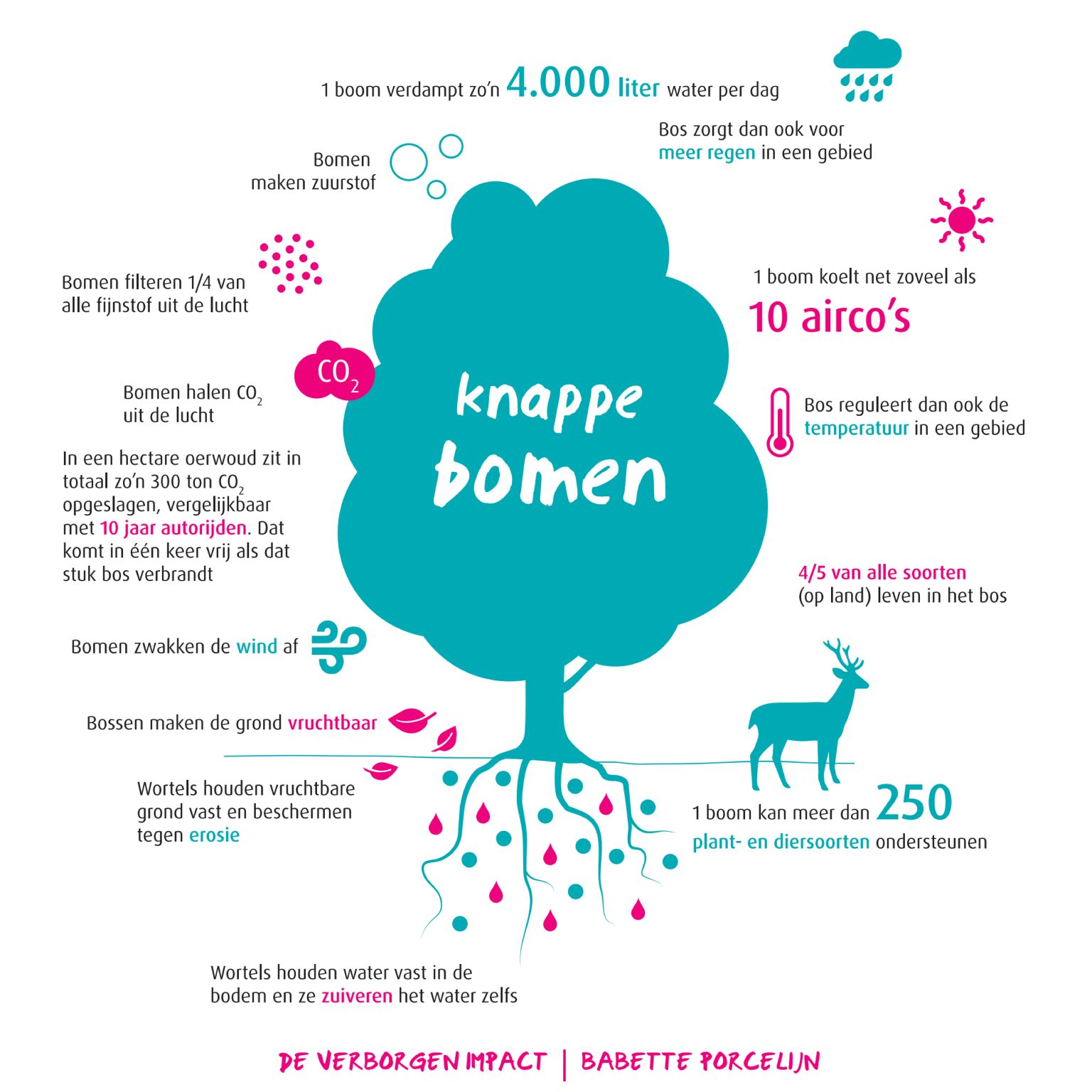 Knappe bomen