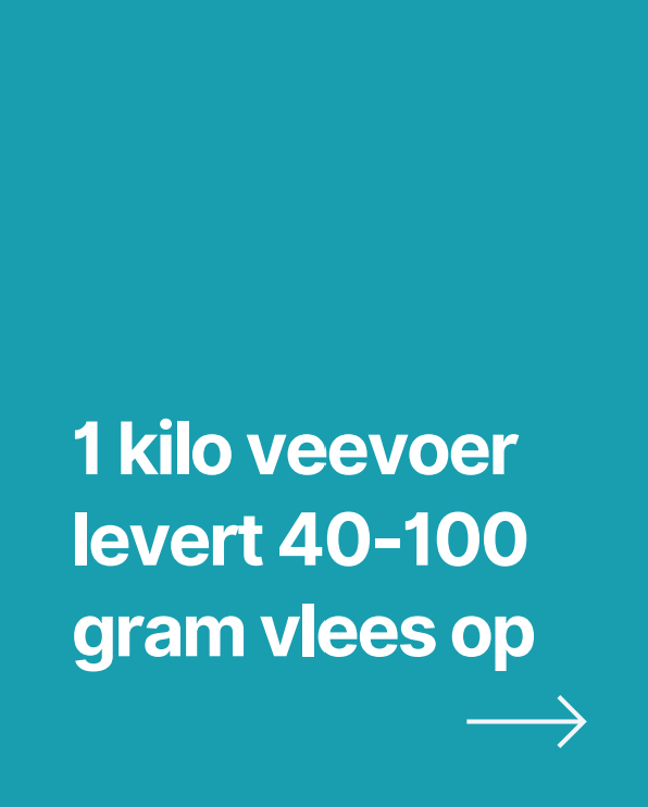 1 kilo veevoer levert 40-100 gram vlees op