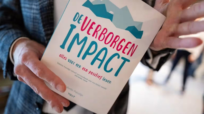 Foto van boek De verborgen impact